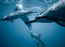 云开体育官网-国青明年征战中乙要黄了？全运会打乱所有计划