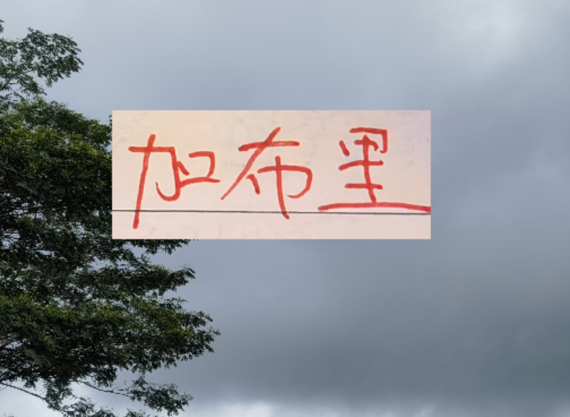 云开体育-是走还是留？ 海港加布里埃尔国内跟国外说法不一样